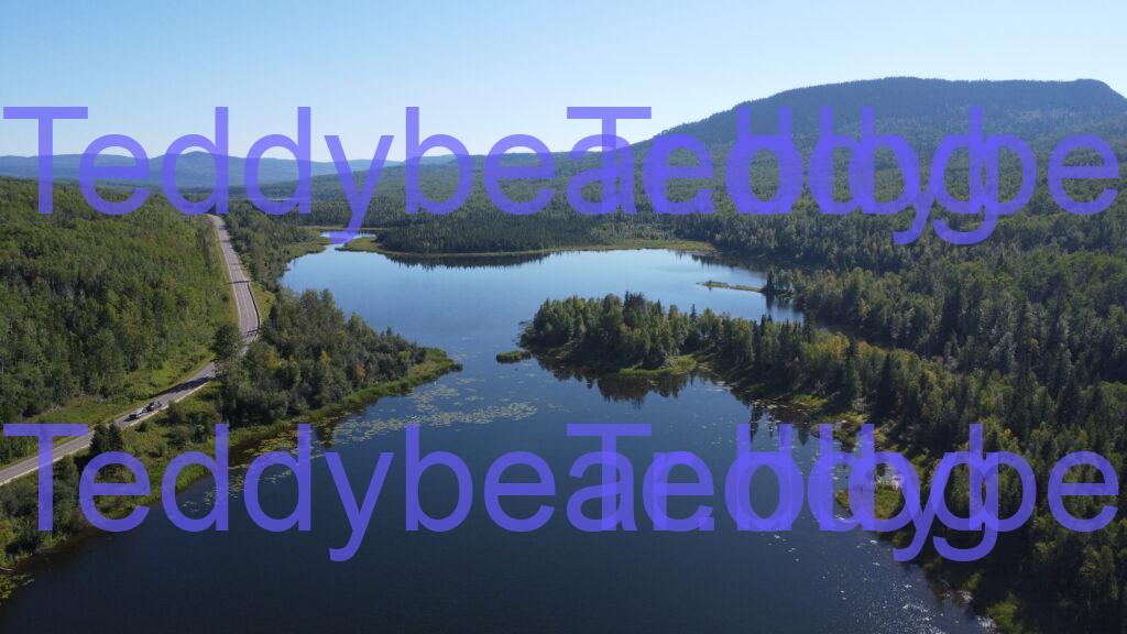 Cam lake