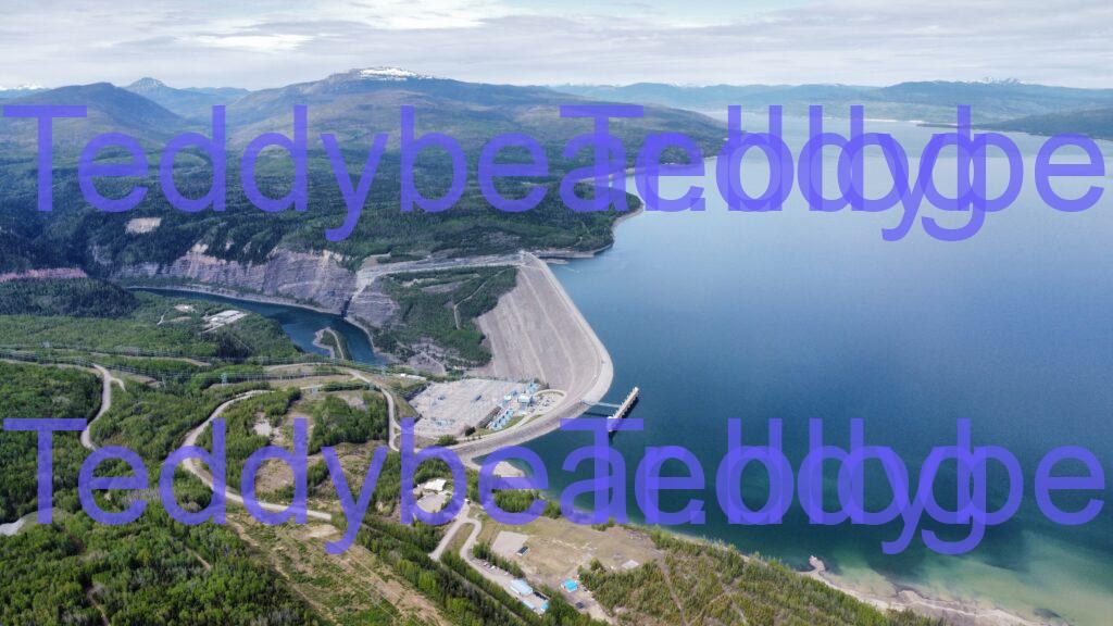 Dam