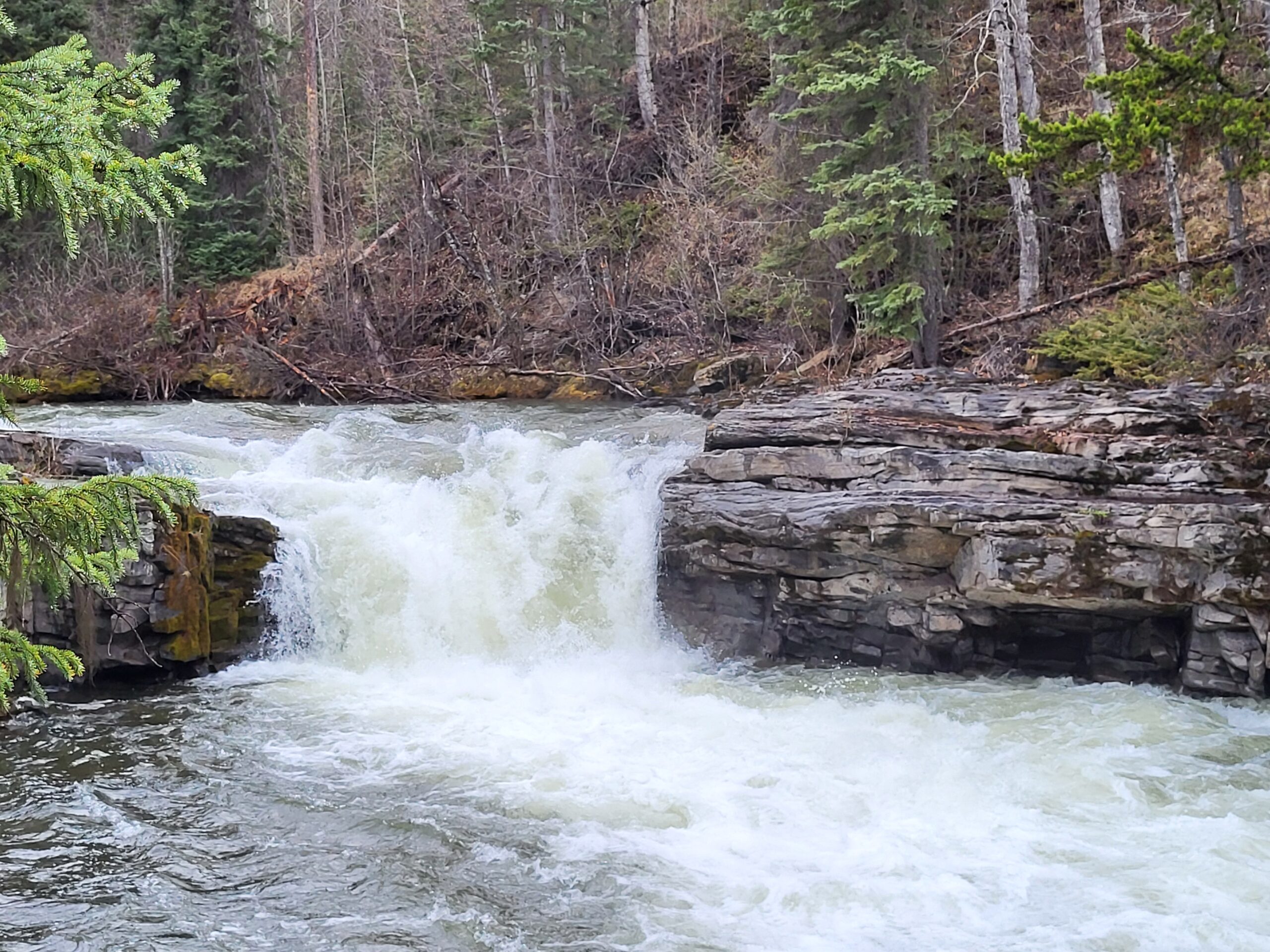 Med falls