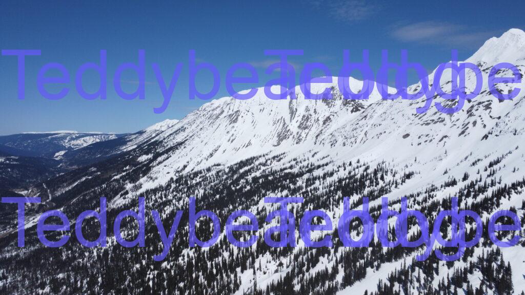 Pine pass mountains in winter