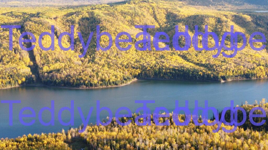 D lake 6