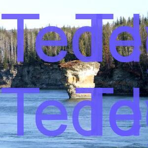 T pot rock